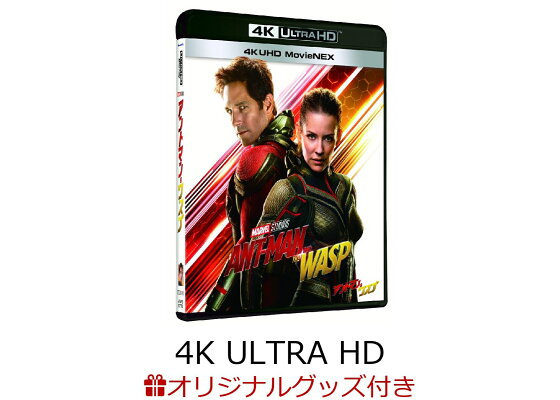 楽天ブックス 楽天ブックス限定 アントマン ワスプ 4k Uhd Movienex 4k Ultra Hd コレクターズカード ペイトン リード ポール ラッド Dvd 楽天ブックス 楽天ブックス限定 アントマン ワスプ 4k Uhd Movienex 4k Ultra Hd コレクターズカード ペイトン リード ポール ラッド Dvd